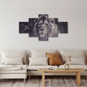 Obraz lwa (125x70 cm)