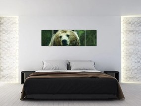 Obraz niedźwiedzia (170x50 cm)