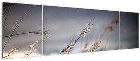 Obraz - Kwiaty polne nad jeziorem (170x50 cm)