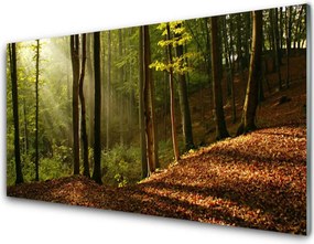 Panel Szklany Głęboka Zieleń Lasu