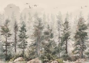Obraz - Pine forest I., aquarel (70x50 cm)