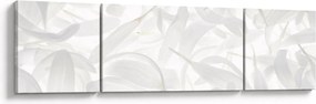 Obraz - Płatki (170x50 cm)