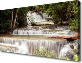 Obraz canvas na ścianę Ukryty Wodospad w Gęstwinie Lasu
