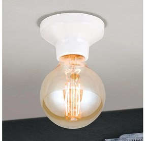 Orion - Lampa sufitowa FROST 1xE27/60W/230V biała