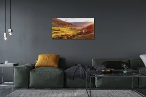 Obraz drukowany na płótnie Dolina w Objęciach Lasu