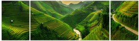 Obraz - Tarasy ryżowe Mu Cang Chai (170x50 cm)