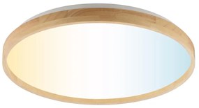 Brilliant - LED Ściemnialna lampa sufitowa ALSON LED/21W/230V beżowa + pilot