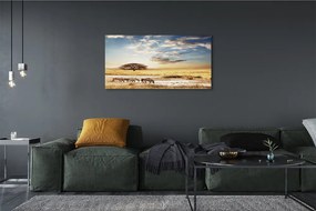 Zdjęcie na płótnie Zebry i Drzewo na Tle Chmur