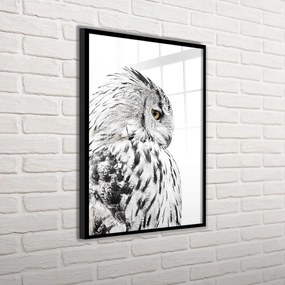 Obraz 50x70 cm Owl – Styler