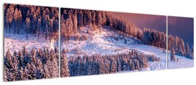 Obraz zimowego krajobrazu (170x50 cm)