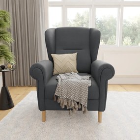 Ciemnoszary fotel typu uszak Swan – Ropez