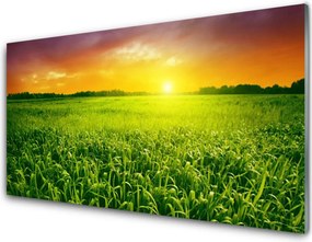 Panel Kuchenny Świt Nad Złocistym Zbożem