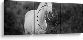 Obraz białego konia na łące, czarno - biały (z zegarem) (90x30 cm)