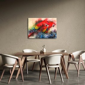 Obraz czerwonych papug Ara (70x50 cm)