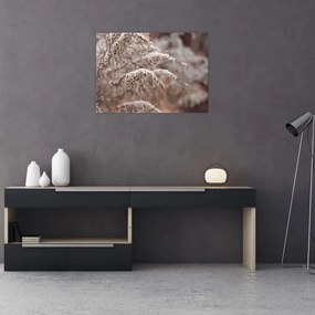 Obraz na szkle roślin (70x50 cm)
