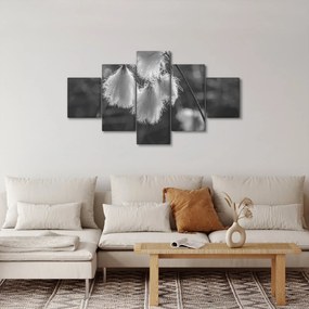 Obraz - Trawa bawełniana (125x70 cm)