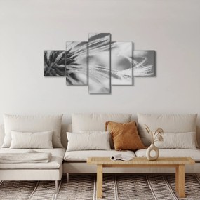 Obraz - Mlecz (125x70 cm)