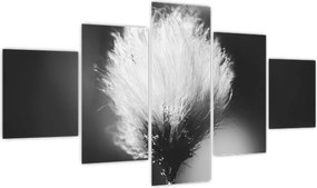 Obraz - Czarno-biała trawa bawełniana (125x70 cm)