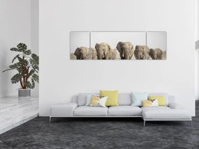 Obraz - Stado słoni (170x50 cm)