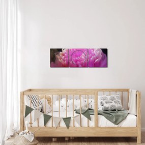 Obraz kwiatu w różowym dymie (z zegarem) (90x30 cm)