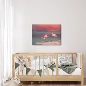 Obraz flamingów (70x50 cm)