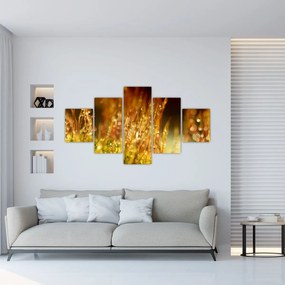 Obraz - Szczegół rosy (125x70 cm)