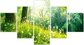 Obraz - Magiczna łąka pełna mniszków lekarskich (125x70 cm)