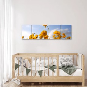Obraz pola z jasnożółtymi kwiatami (170x50 cm)