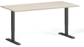 Biurko z regulacją wysokości, 160x80 cm, 2 silniki, czarna podstawa, brzoza