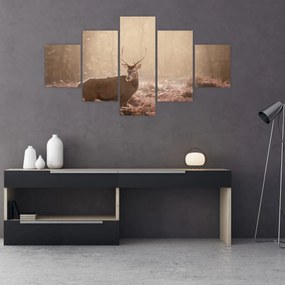 Obraz - Jeleń w lesie (125x70 cm)