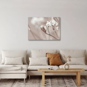 Obraz - Szczegół gałęzi (70x50 cm)