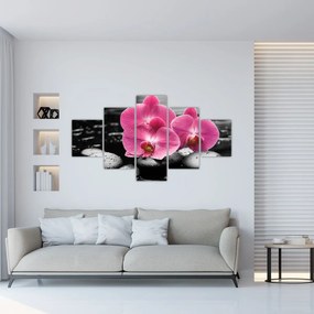 Obraz - Różowe orchidee (125x70 cm)