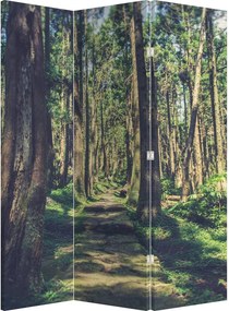 Parawan - Ścieżka wśród drzew (126x170 cm)