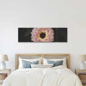 Obraz pomarańczowego kwiatu (170x50 cm)