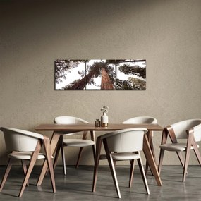 Obraz - Widok przez korony drzew (z zegarem) (90x30 cm)