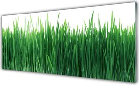 Szkło Ozdobne do Kuchni Naturalna Świeżość Trawy