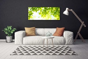 Obraz na płótnie Świeże Zielone Liście