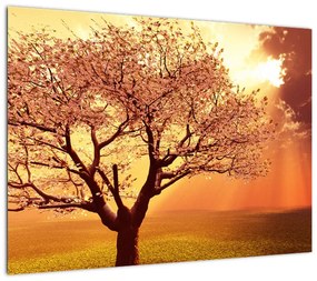 Obraz promieni Boga (70x50 cm)