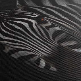 Obraz zebry (170x50 cm)