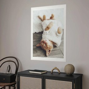 Plakat Leniwy kot 60x90 cm bez ramy z marginesem ARTGEIST B
