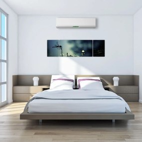 Obraz - Ważka w błyszczącej nocy (170x50 cm)