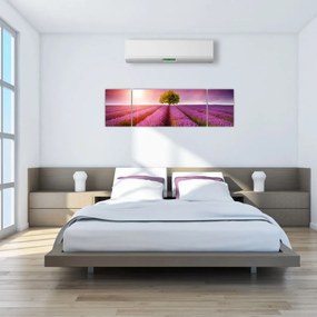 Obraz pola z lawendą (170x50 cm)
