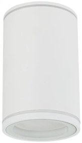 Oświetlenie punktowe FLARE 1xGU10/10W/230V 10 cm biały