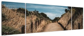 Obraz - Na szlaku (170x50 cm)
