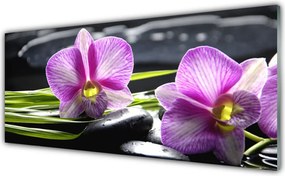 Panel Szklany Świątynia Relaksu: Storczyk i Głazy