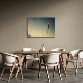 Obraz z trawą (70x50 cm)