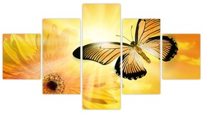 Obraz - Żółty motyl z kwiatkiem (125x70 cm)