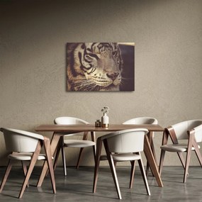 Obraz tygrysa (70x50 cm)