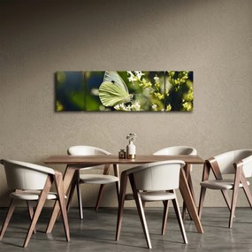 Obraz motyla (170x50 cm)