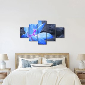 Obraz szczegółu kwiatu (125x70 cm)
